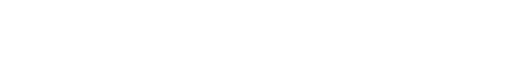 Informe del Vehículo